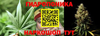 индика Чебаркуль