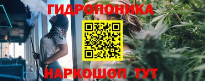 индика Чебаркуль
