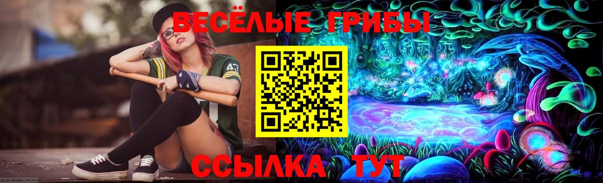 Галлюциногенные грибы Psilocybe Чехов